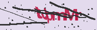 Captcha認証コード